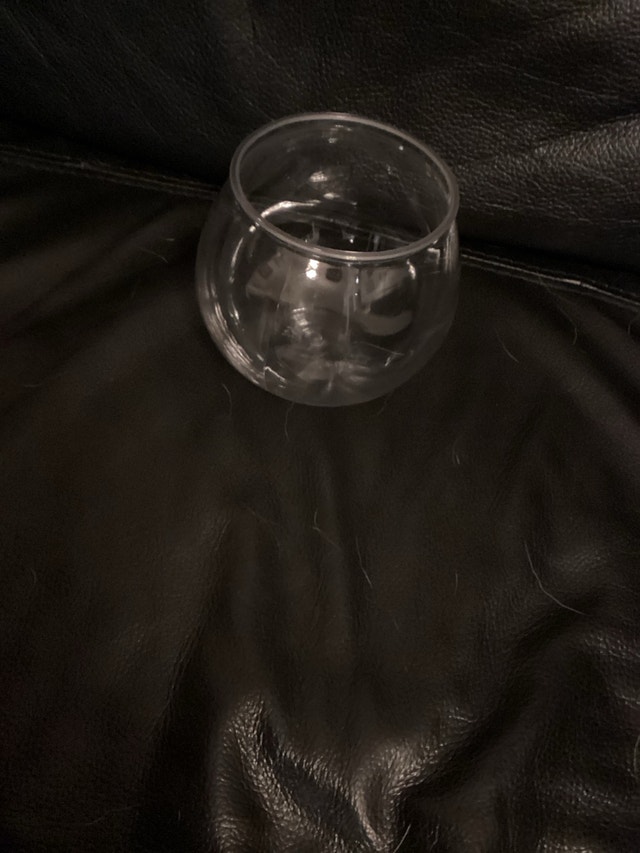 Fish bowl brand new