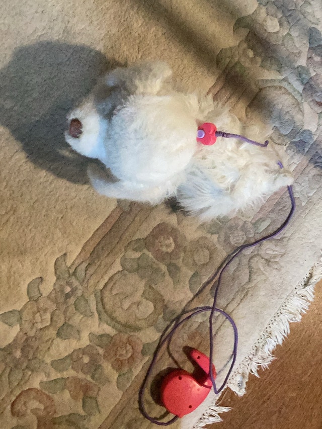 Hasbro FurReal Friends GoGo My Walkin’ Pup