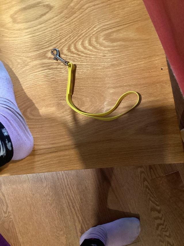 Dog leash handle
