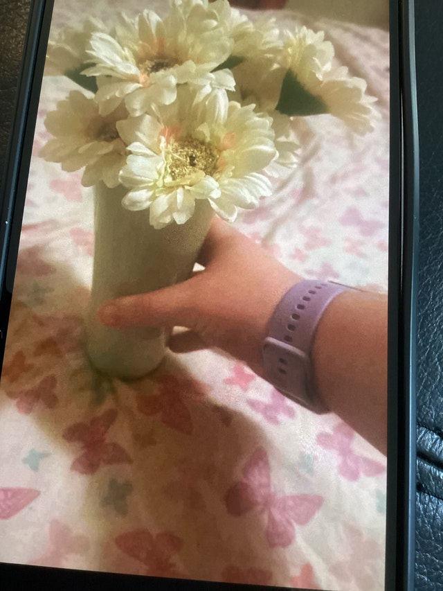 Fake plant