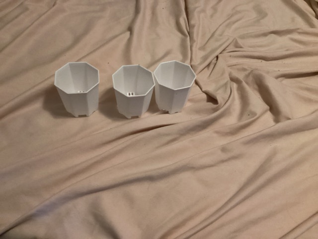 Plant pots