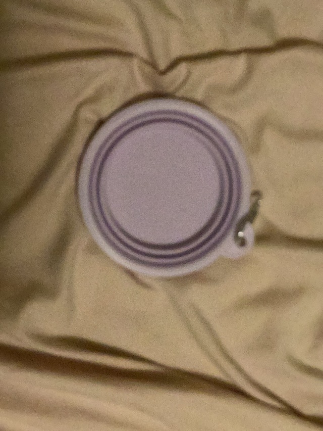 Dog bowl
