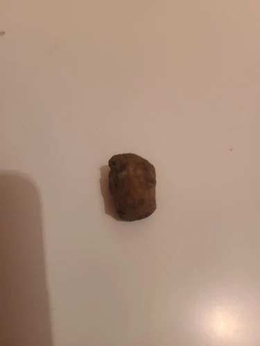 Antique Mini 1900 Pill Bottle With Original Cork - photo 5