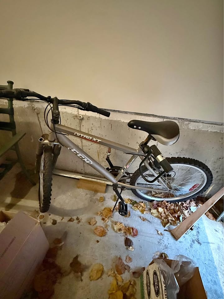 Bike
