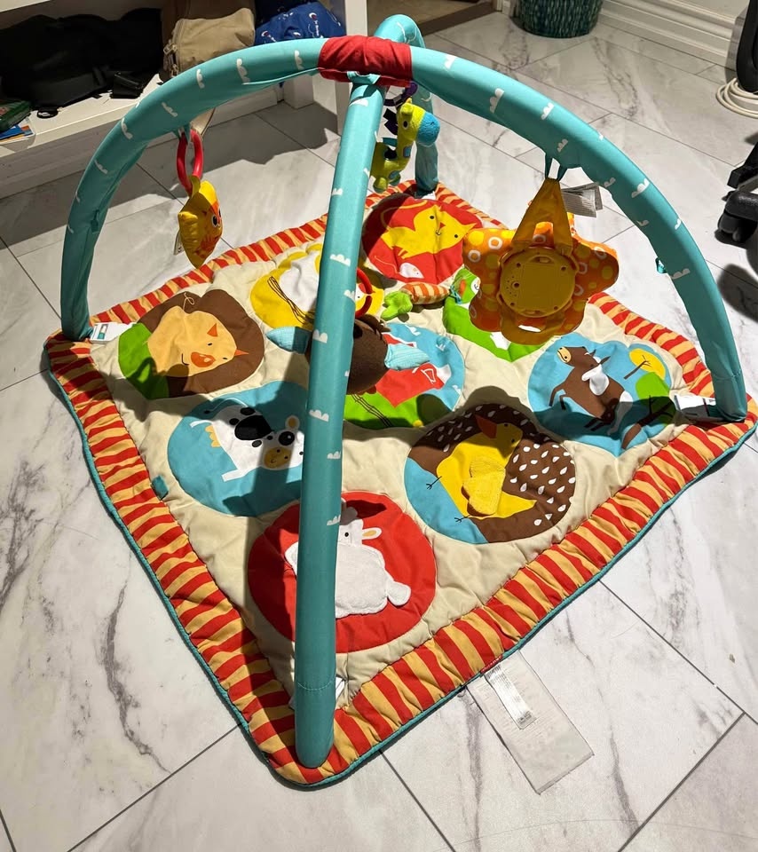 Skiphop Playgym for babies