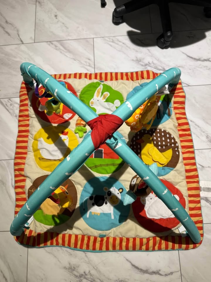 Skiphop Playgym for babies - photo 2