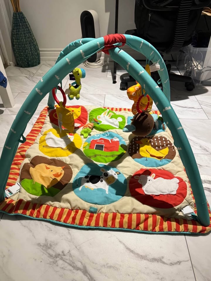 Skiphop Playgym for babies - photo 3