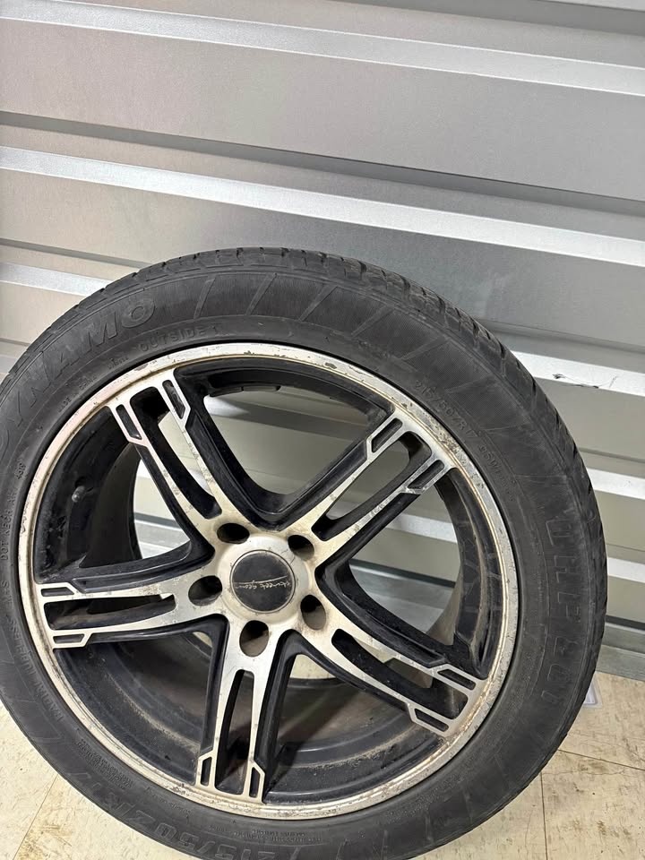 215/50ZR17 Dynamo Summer tire/rims x4