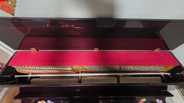 Hoffman & Kühne Piano and Bench - photo 5