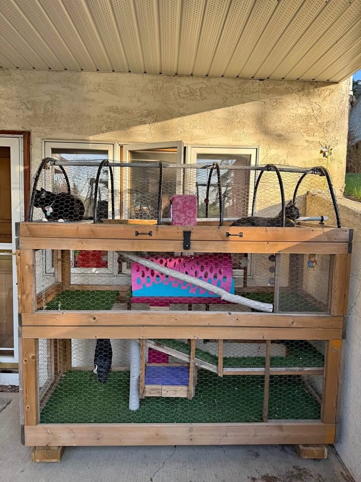 Custom Built Catio 🐈‍⬛