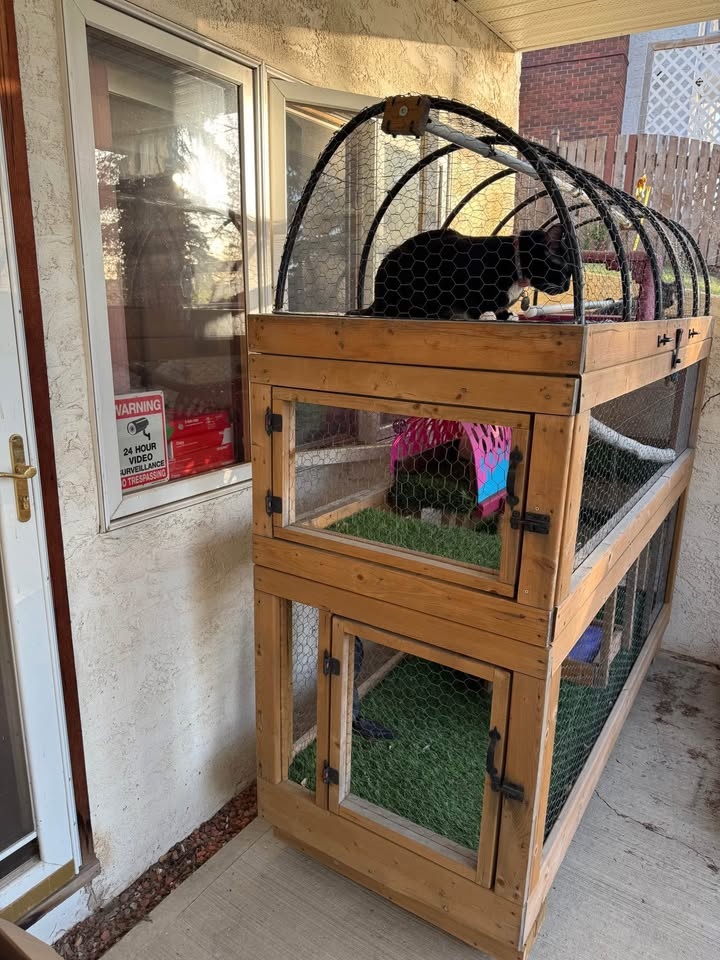 Custom Built Catio 🐈‍⬛ - photo 2