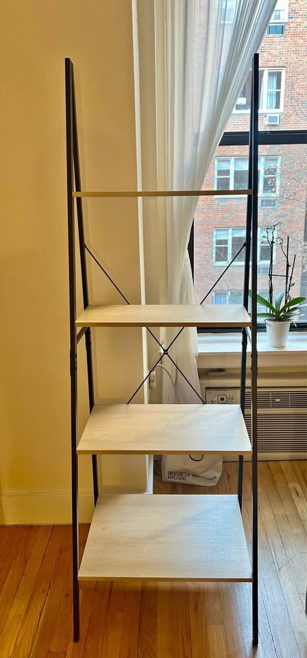 Good Jupiter Storage Ladder - Bookcase (Hayneedle)