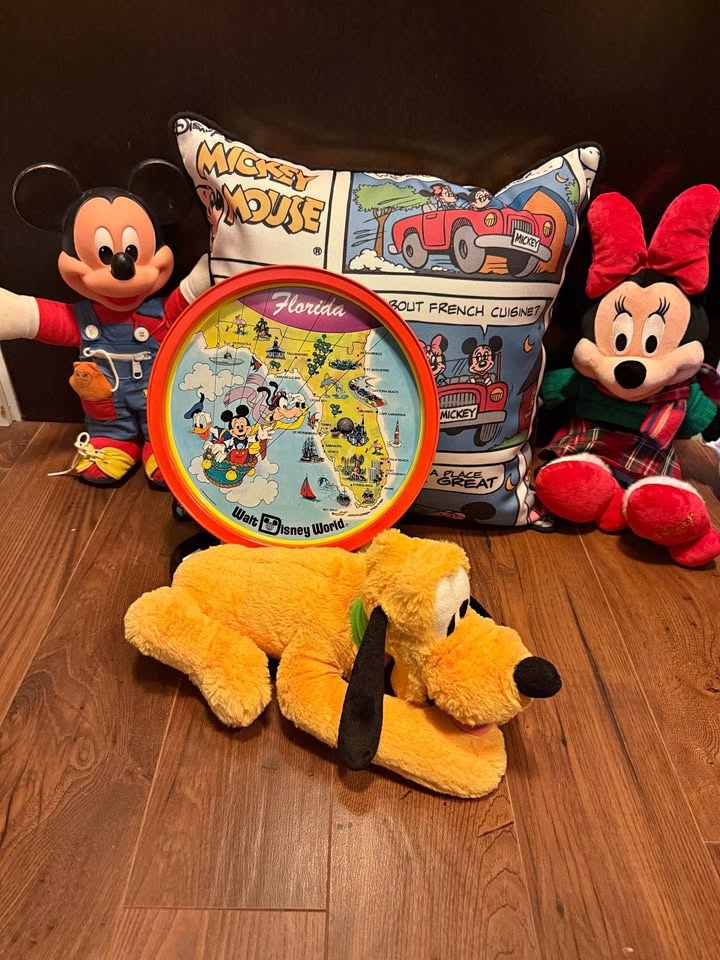 Disney Plush Lot and Items