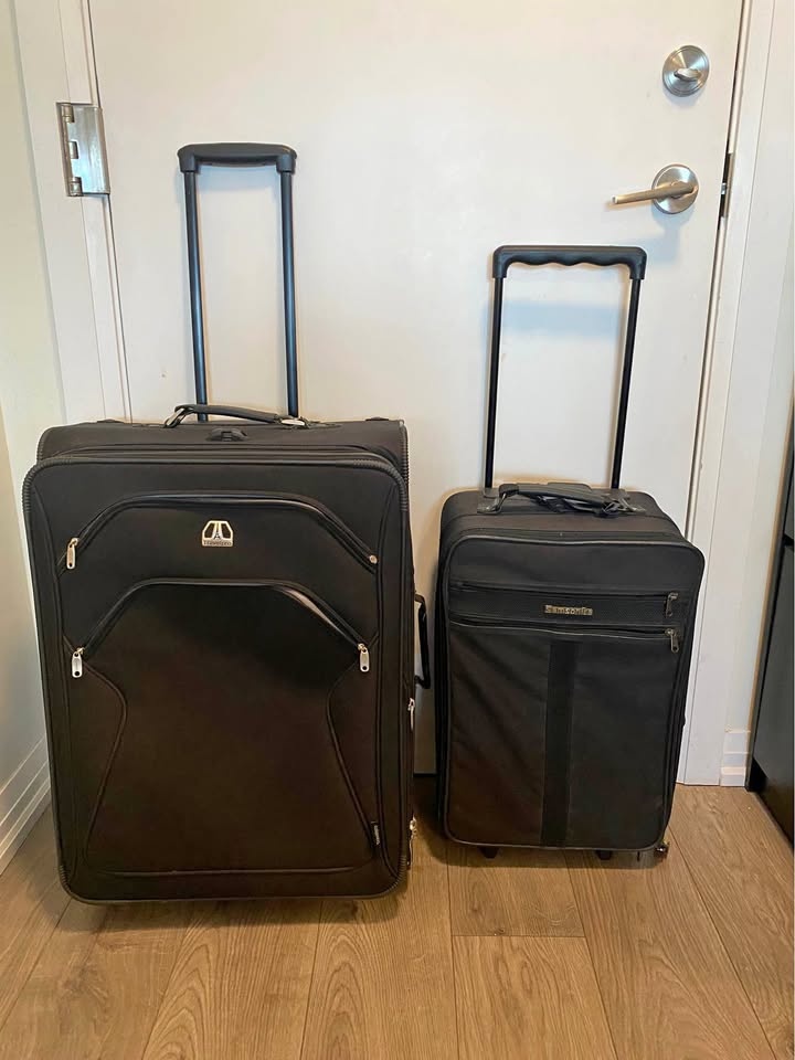 Suitcase pair