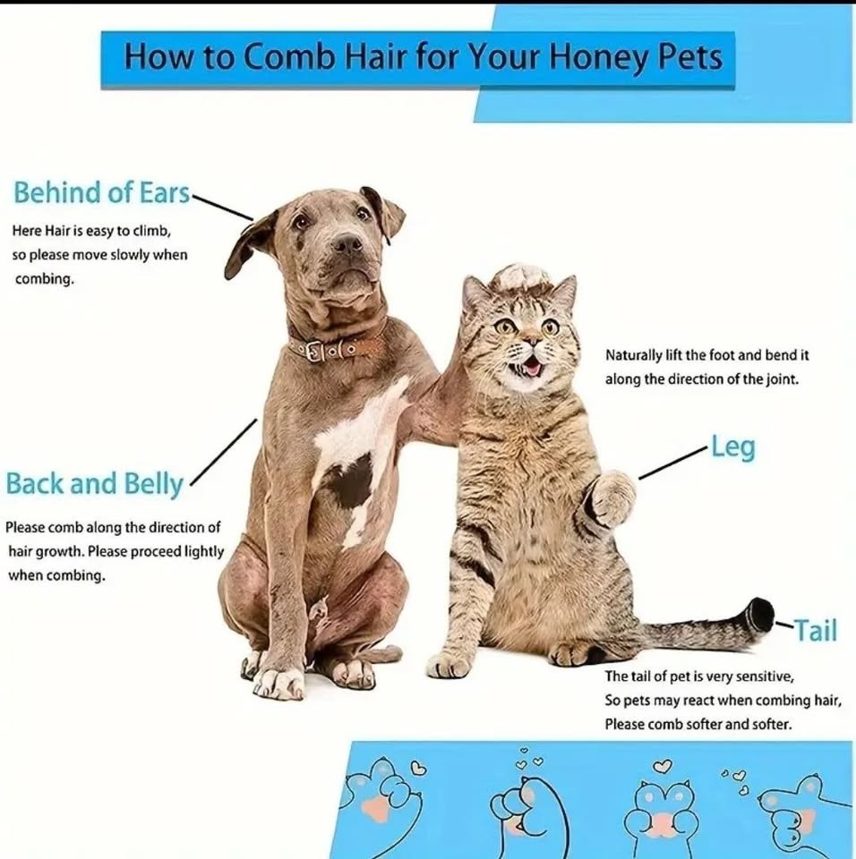 Heavy-Duty Pet Massage Comp & Brush - photo 5