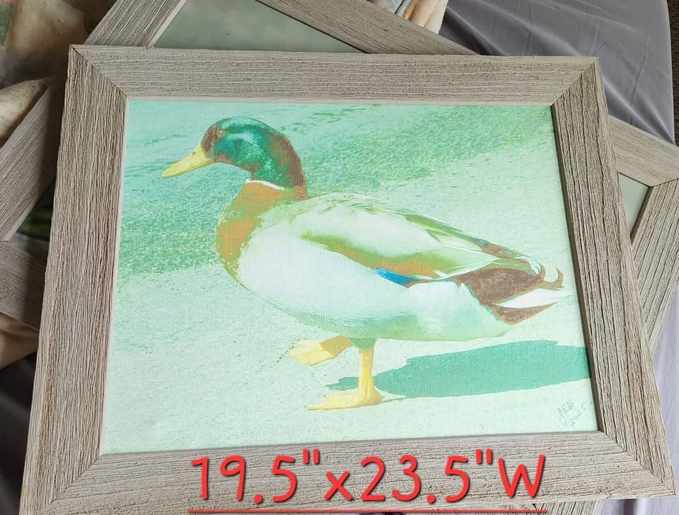mallard/wood duck frames - photo 5