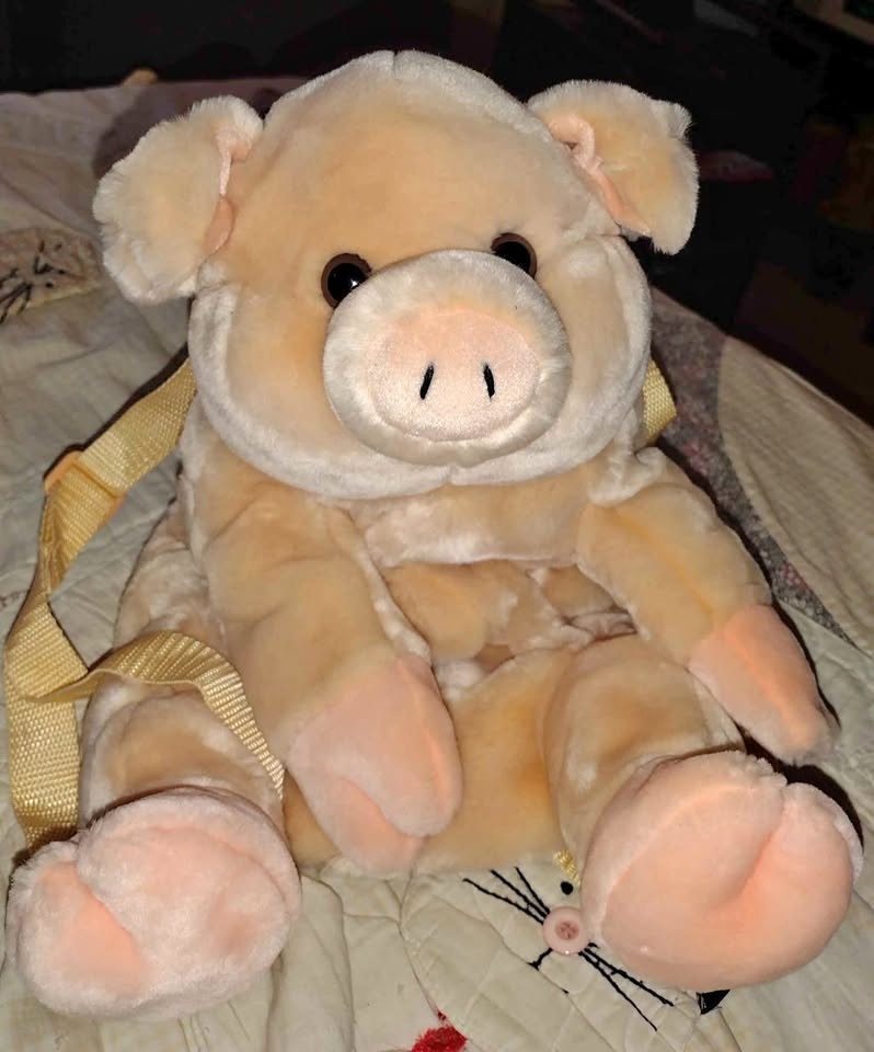 17" toddler soft piggy back pack
