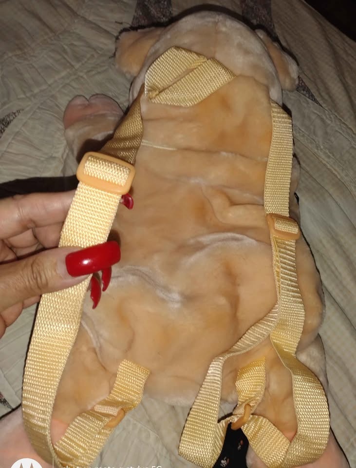 17" toddler soft piggy back pack - photo 4