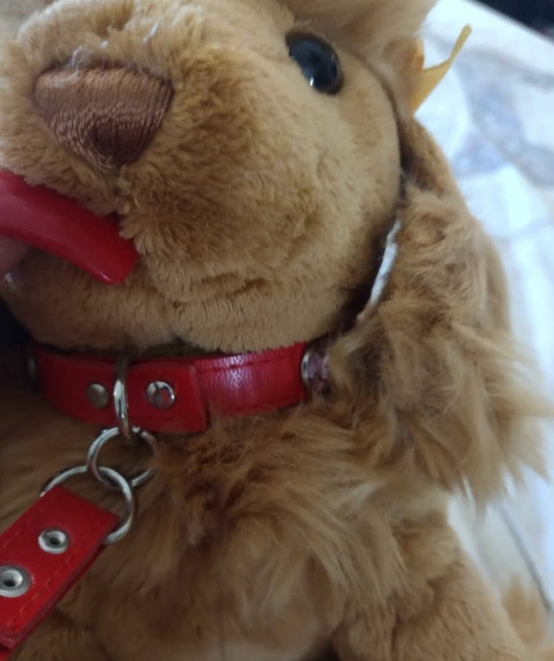 Adorable Poddle plush dog with leash - photo 3