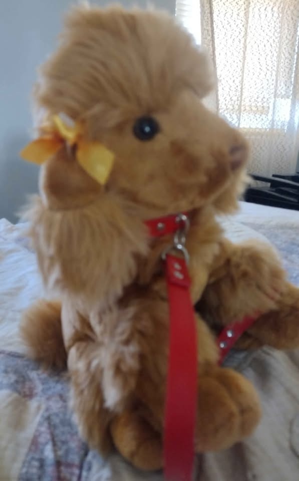 Adorable Poddle plush dog with leash - photo 5