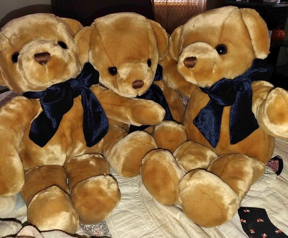 17"H soft big brown eyed honey bears with large bows