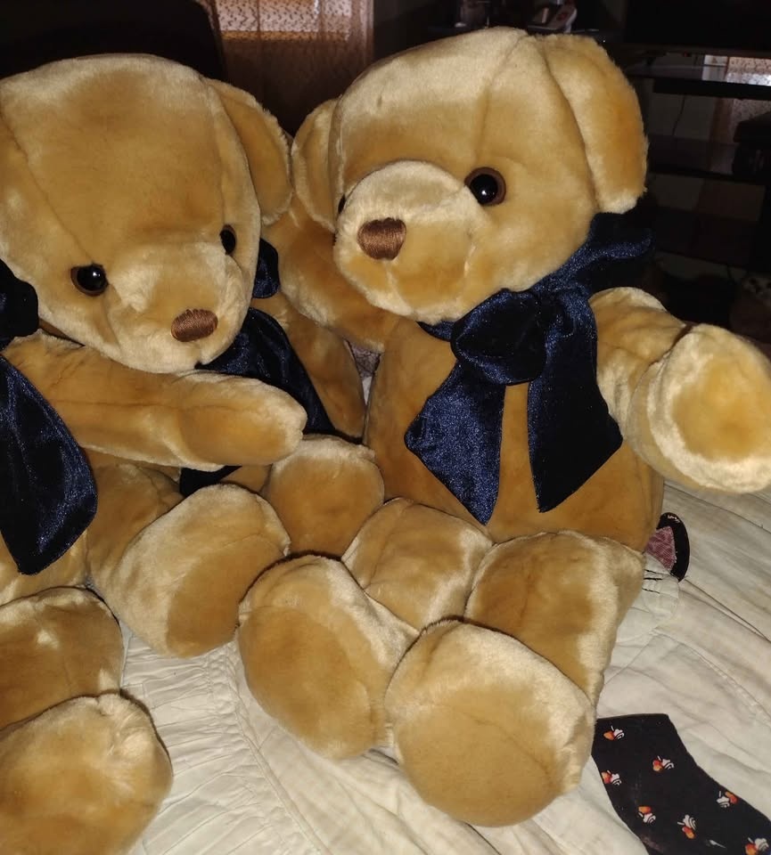 17"H soft big brown eyed honey bears with large bows - photo 2