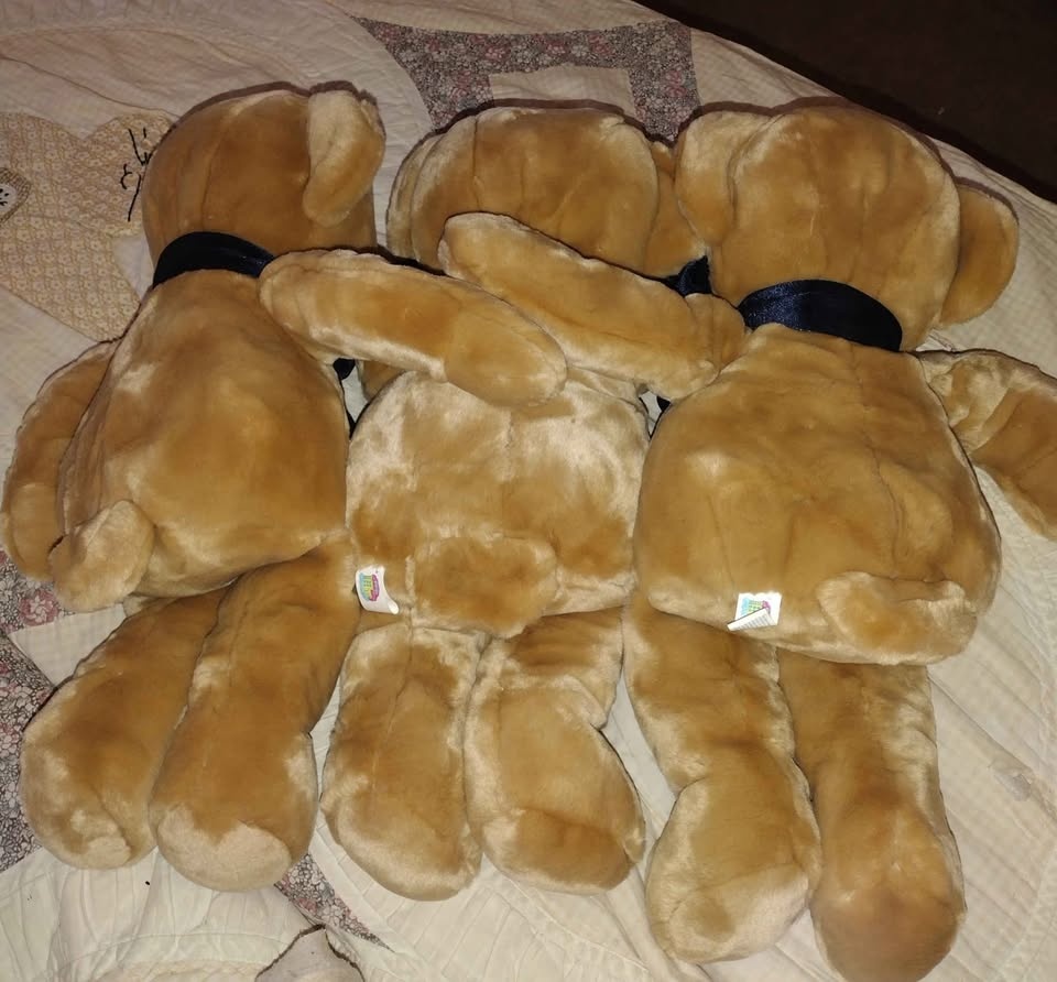17"H soft big brown eyed honey bears with large bows - photo 3
