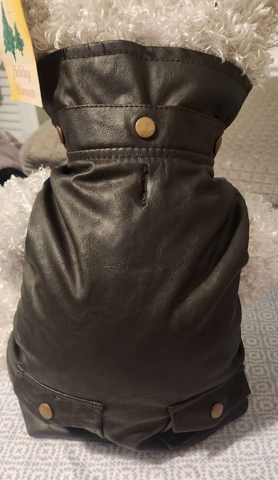 doggie jacket & more - photo 2