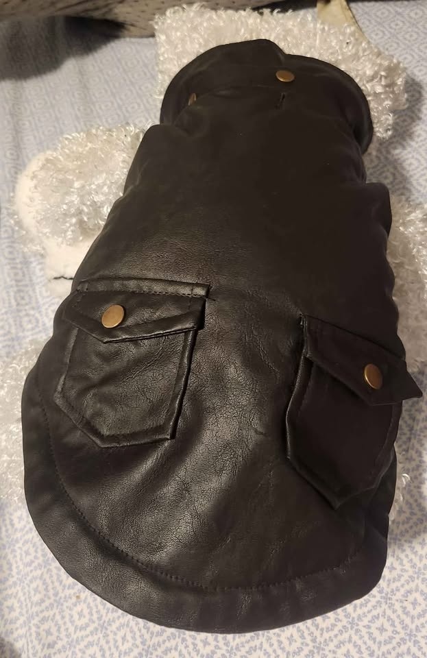 doggie jacket & more - photo 3