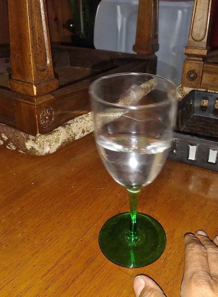 Cool rolling wine glasses Plz read
