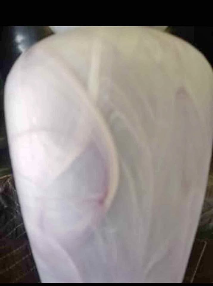 Shapely plum vase