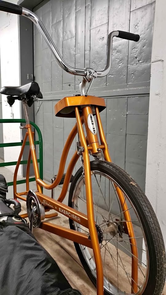 Vintage Copper Schwinn Bike Bundle