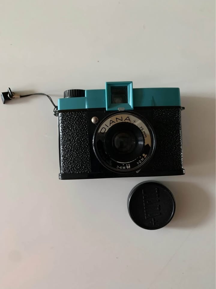 Diana + lomography No F No Mini - photo 5