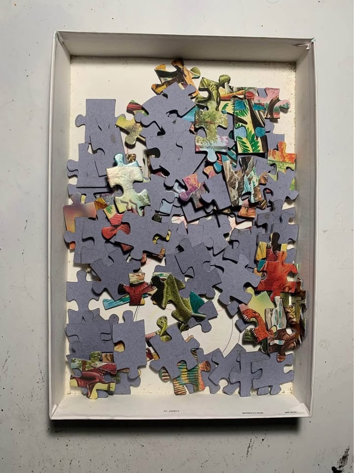 Educa dinosaurs puzzle 100 piece - photo 2