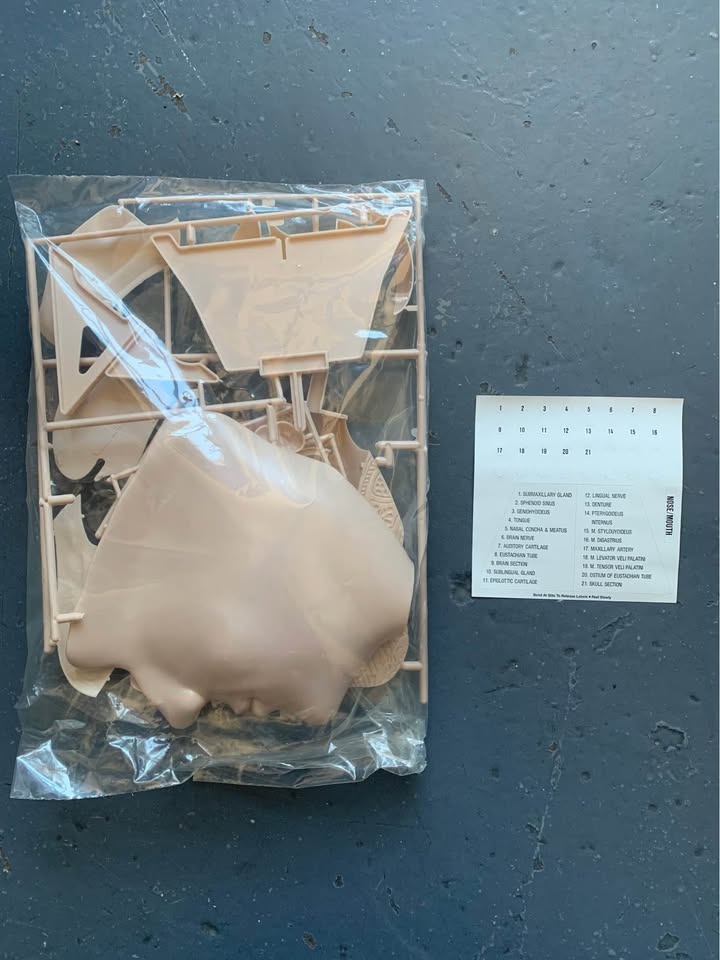 Lindberg nose mouth kit - photo 3