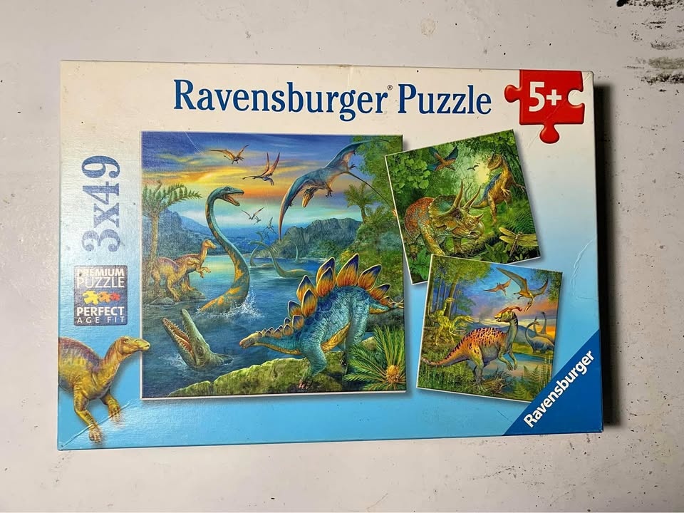 Used dinosaur puzzle