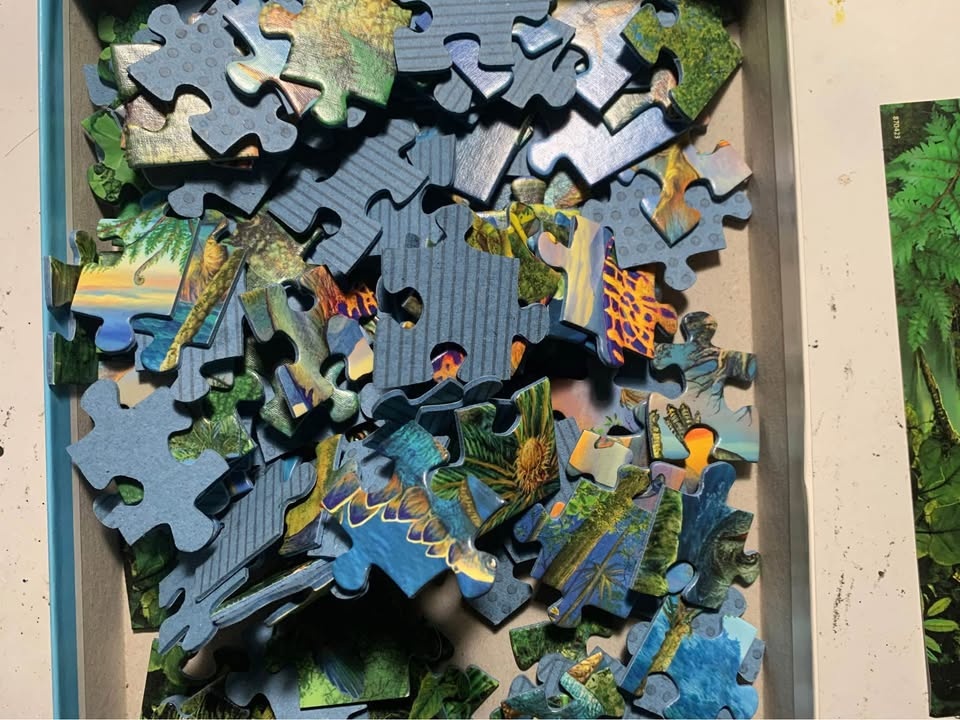 Used dinosaur puzzle - photo 4