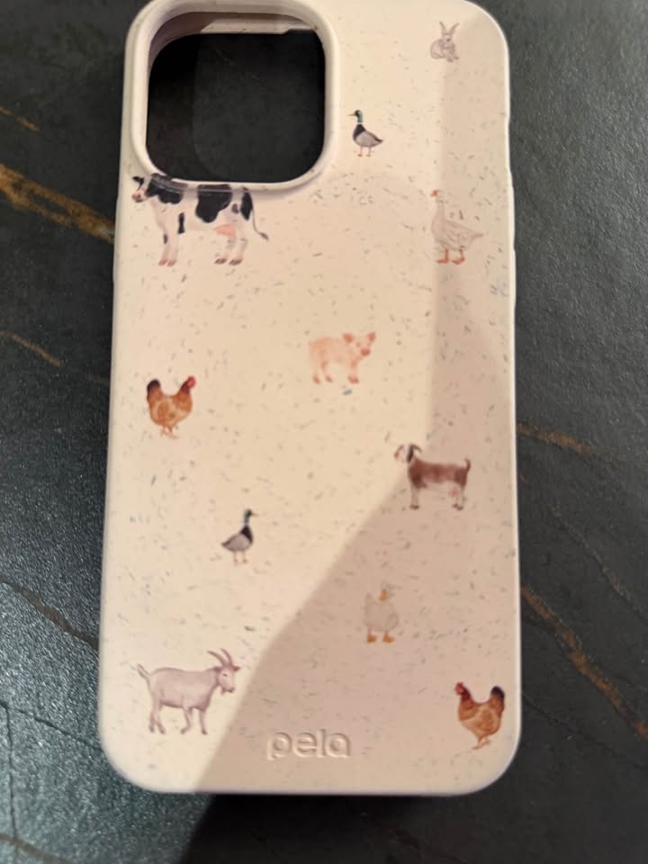 iPhone 13 Pro Max Cases - photo 3