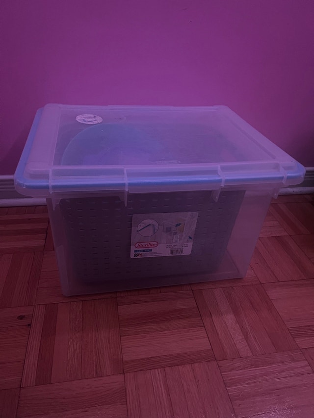 Sterilite 30 Liter Gasket Box