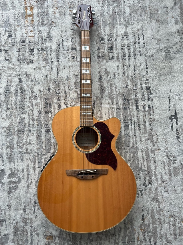 Takamine EG523SC Guitar with Hardcase