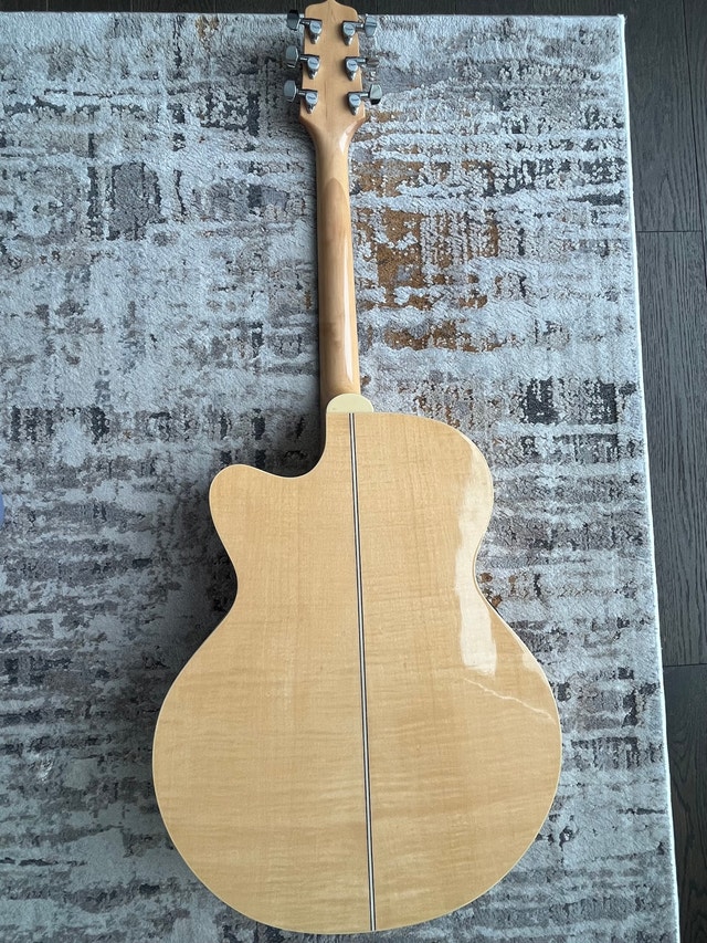 Takamine EG523SC Guitar with Hardcase - photo 2