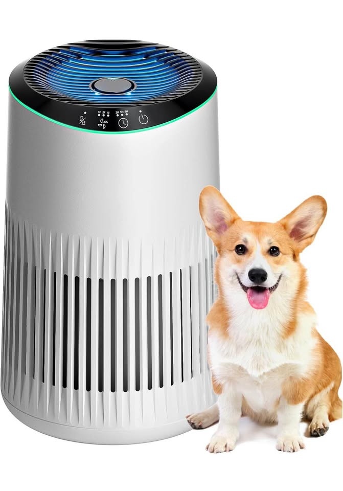 Air Purifiers for Bedroom Home