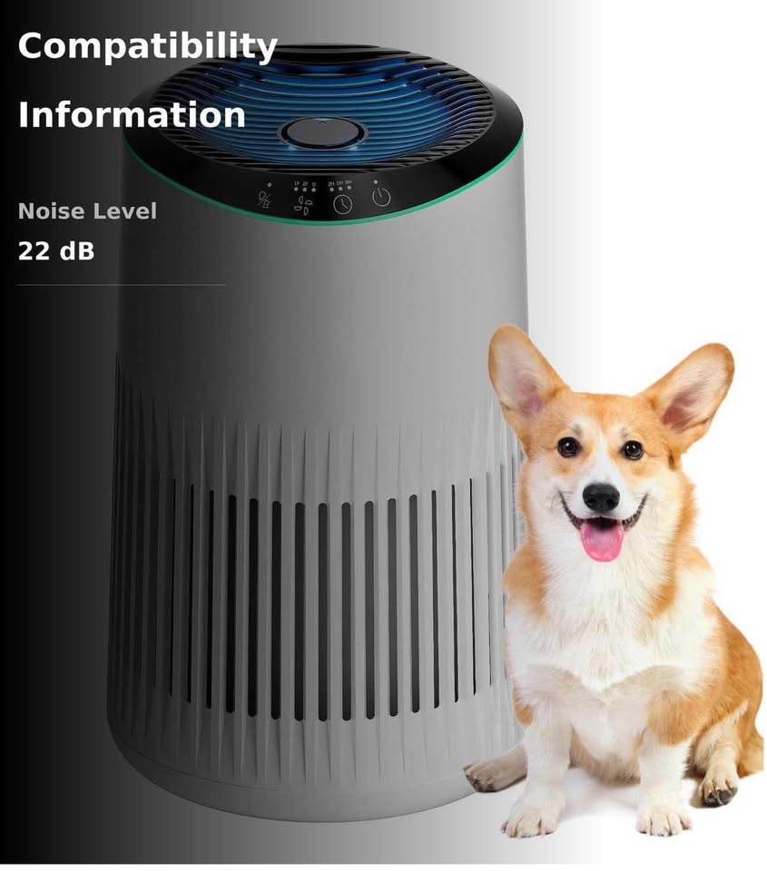 Air Purifiers for Bedroom Home - photo 3