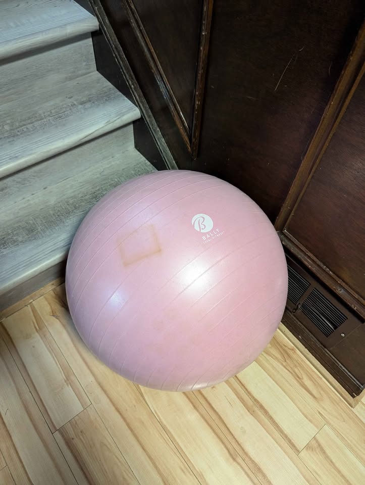 Stability ball (weighted) - photo 2