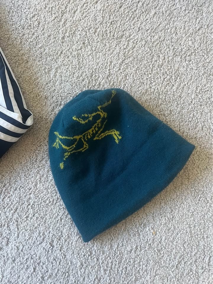 ARC TERYX beanie - photo 3