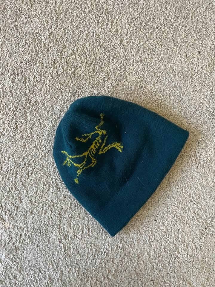 ARC TERYX beanie - photo 4