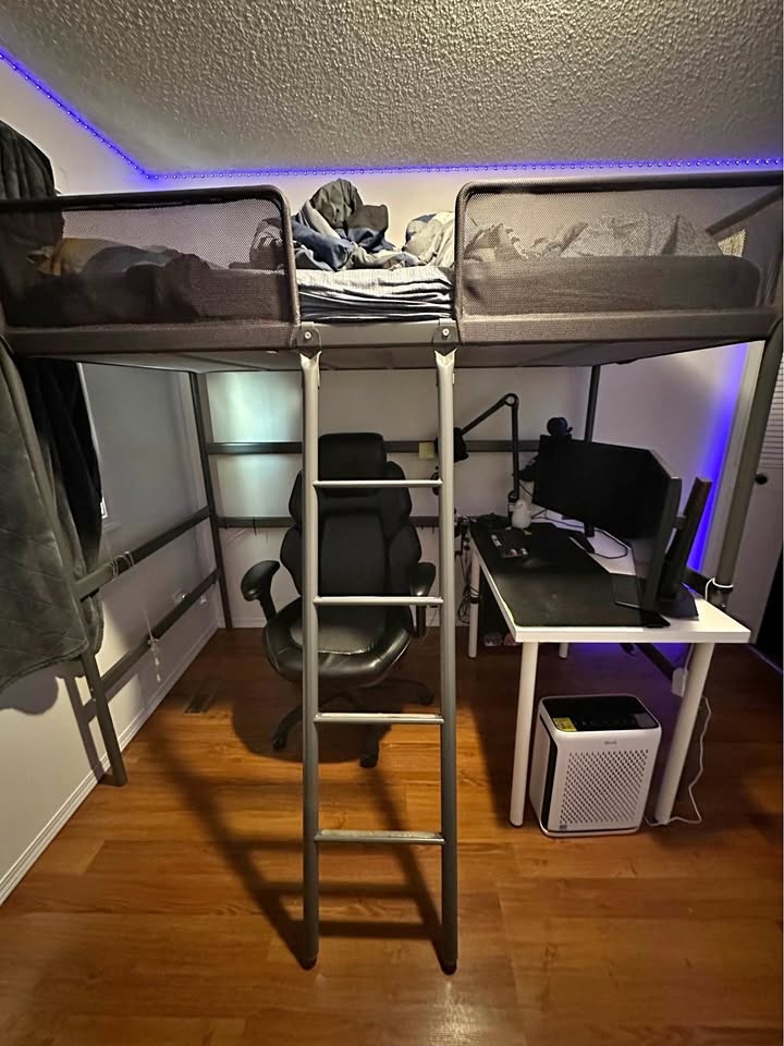 Loft Bed (Mattress not included)