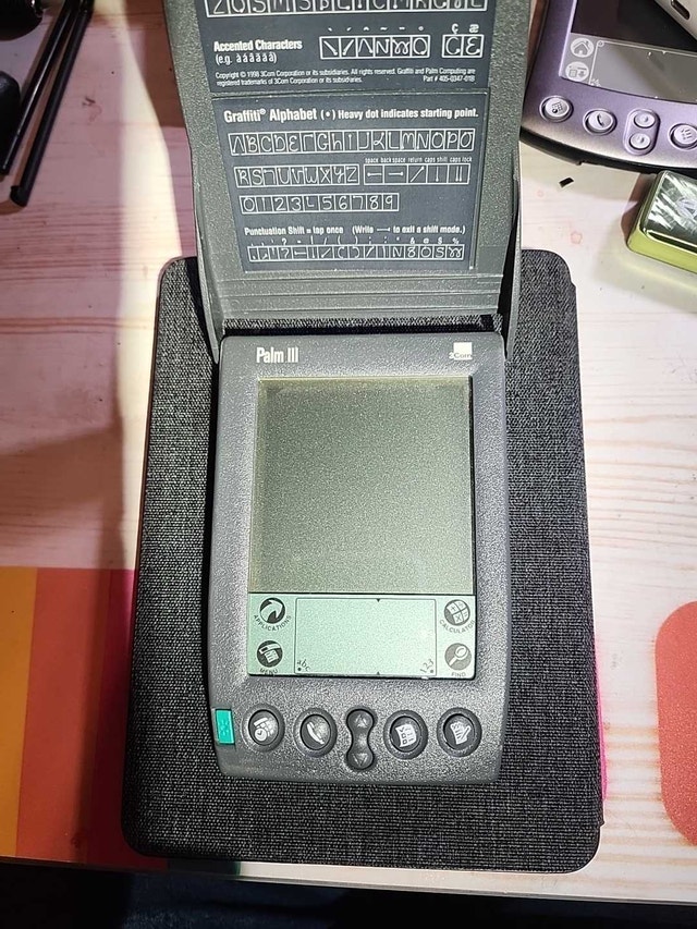 Palm III
