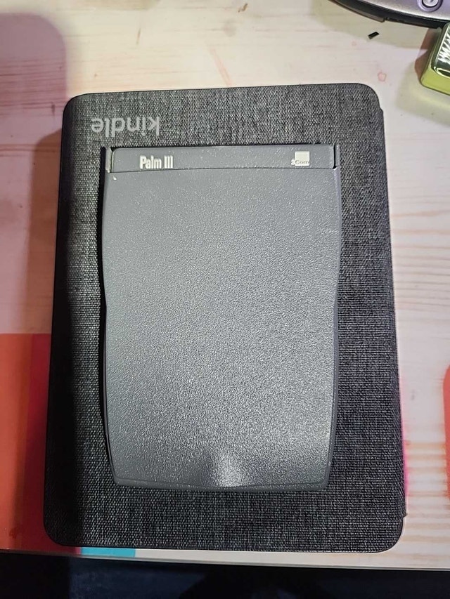 Palm III - photo 2