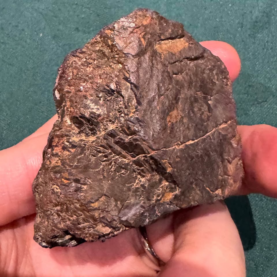 Magnetite-Rich Iron Ore Specimen - photo 4